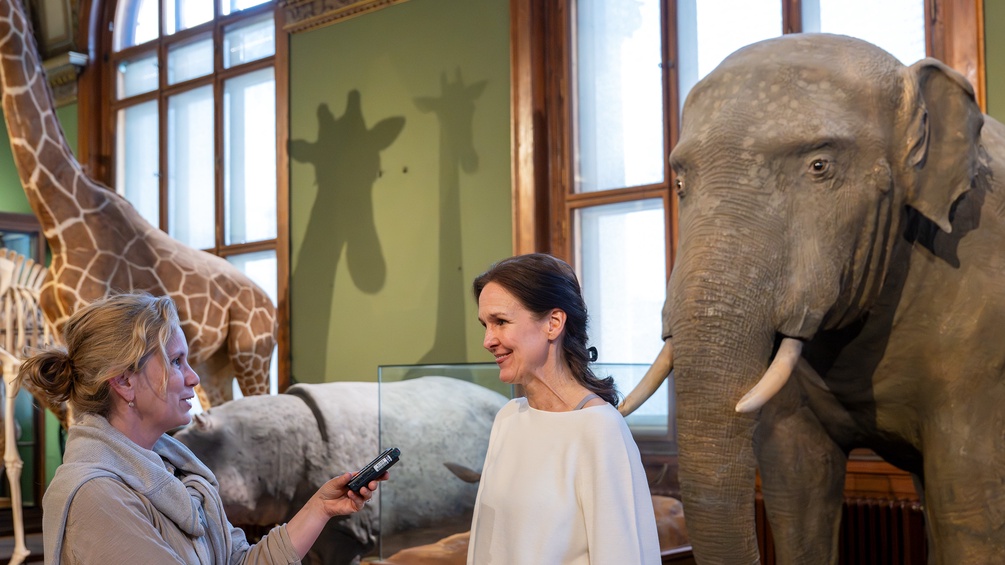 Stefanie Jovanovic-Kruspel im NHM (Im Hintergrund die Dermoplastik des Elefanten Pepi)
