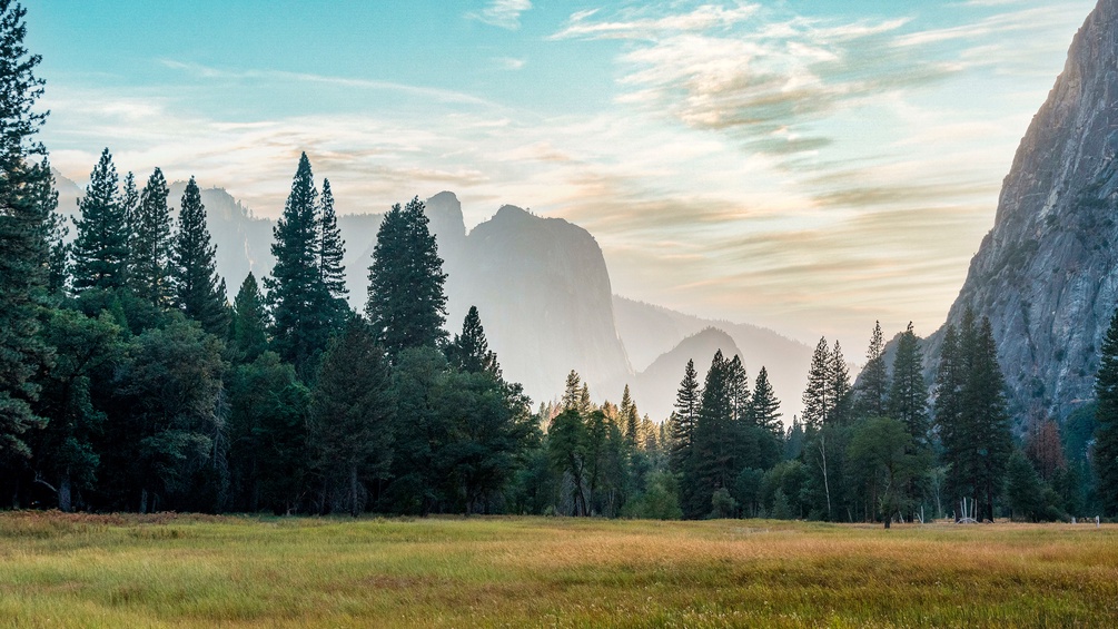 Naturlandschaft im Yosemite National park