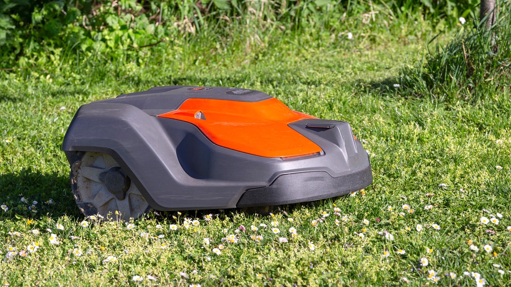 Bild: Rasenmähroboter auf einer Wiese