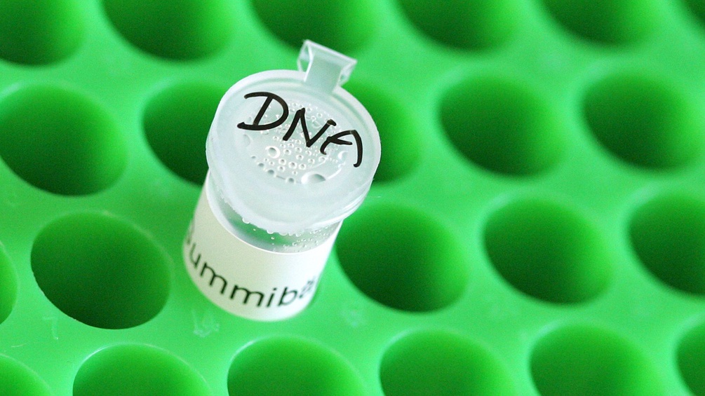 Röhrchen mit DNA Probe in einem Labor