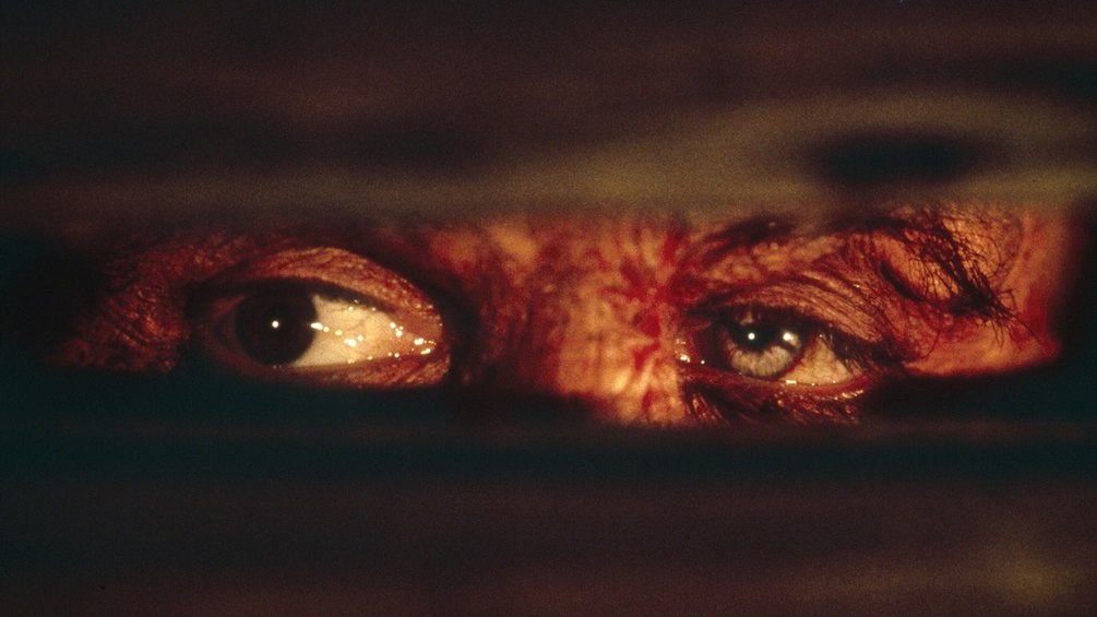 Robert de Niro in der Rolle als Frankenstein, Augenpartie