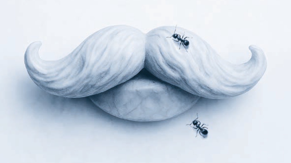 Schnurrbart einer Steinskulptur