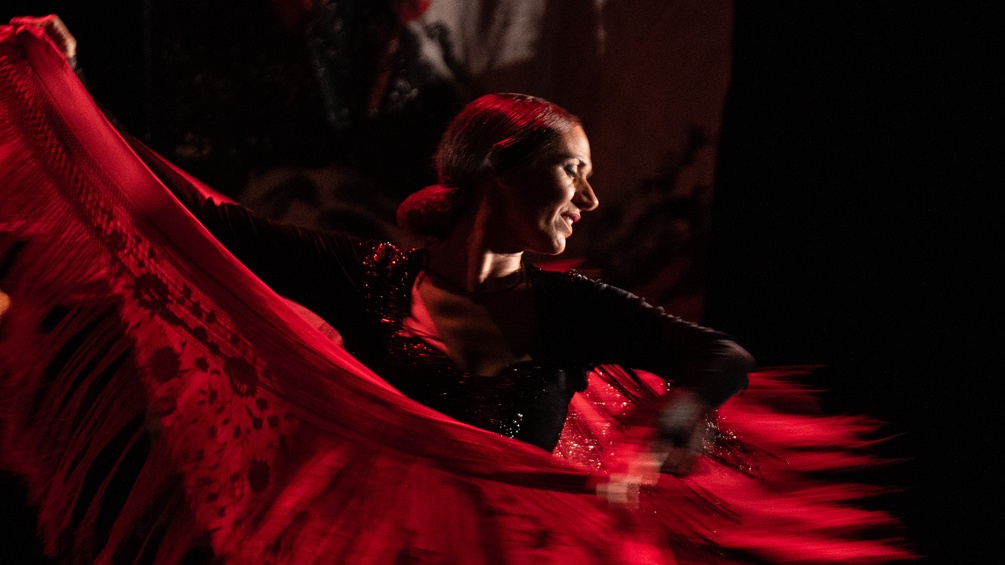 Flamenco-Tänzerin