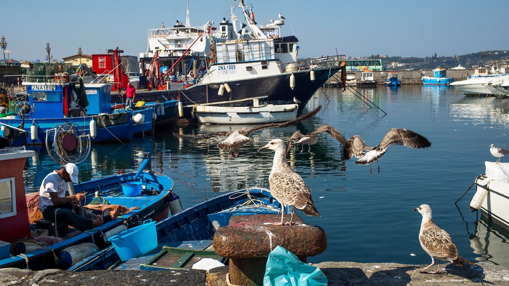 Fischer am Hafen, Neapel