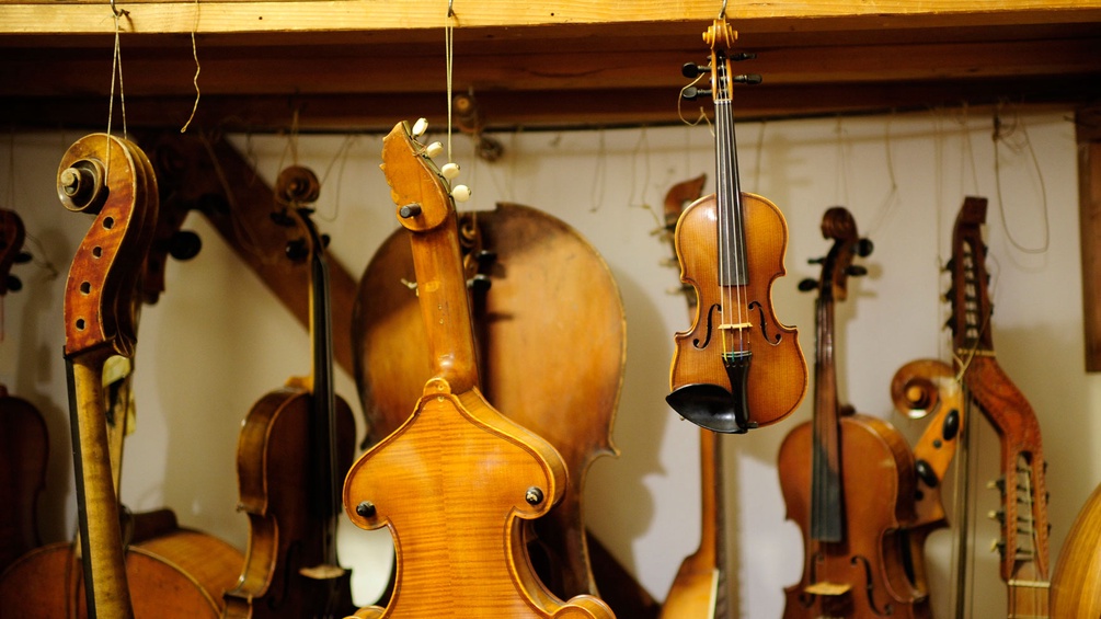 Geigen in einer Geigenbauerwerkstätte