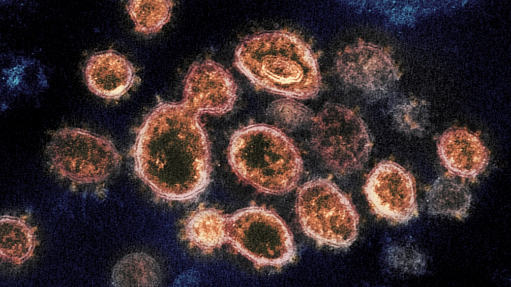 SARS-CoV-2-Virus-Partikel 