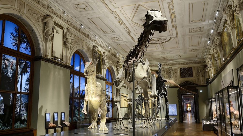 Sauriersaal im NHM