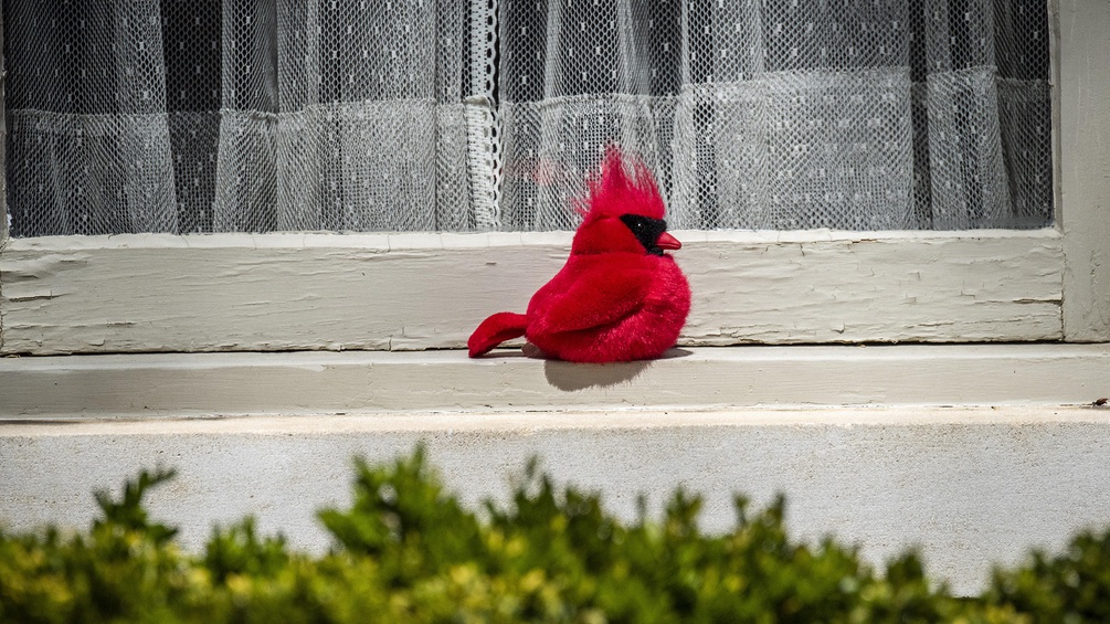 Ein Stofftier Vogel auf einer Fensterbank.