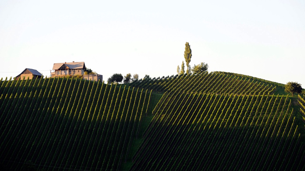 Südsteirisches Weinland