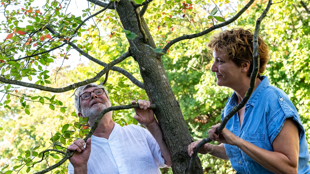 Elke Tschaikner und Christian Scheib