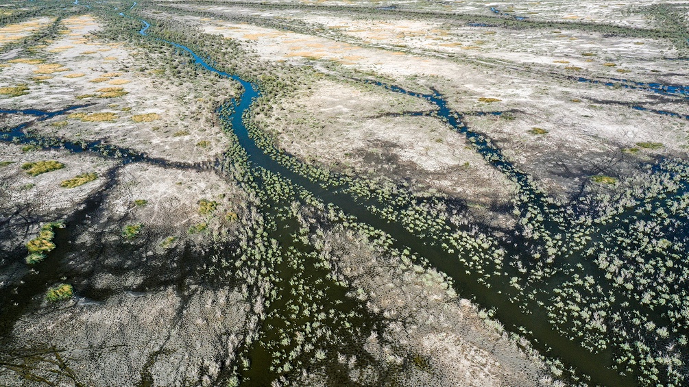 Trockene Gewässer schlängeln sich durch Erde.