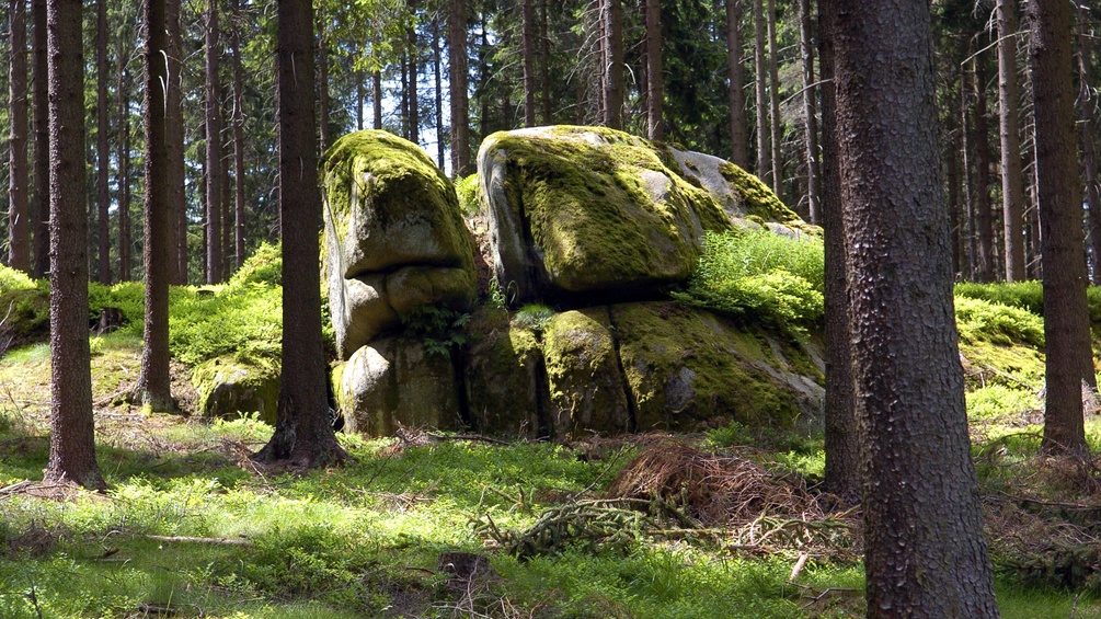 Allerlei „mystische“ und sagenumwogene Wackelsteine zeigt der renovierte Naturpark Blockheide