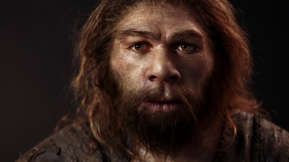 Rekonstruktion eines Neanderthalers