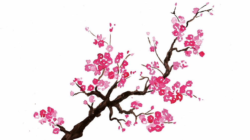 Gemalte Kirschblüte, Ausschnitt des Buchumschlags