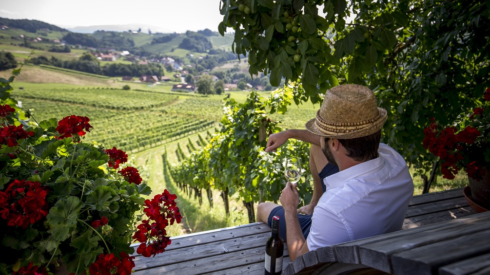 Wein-Genuss in der Südsteiermark