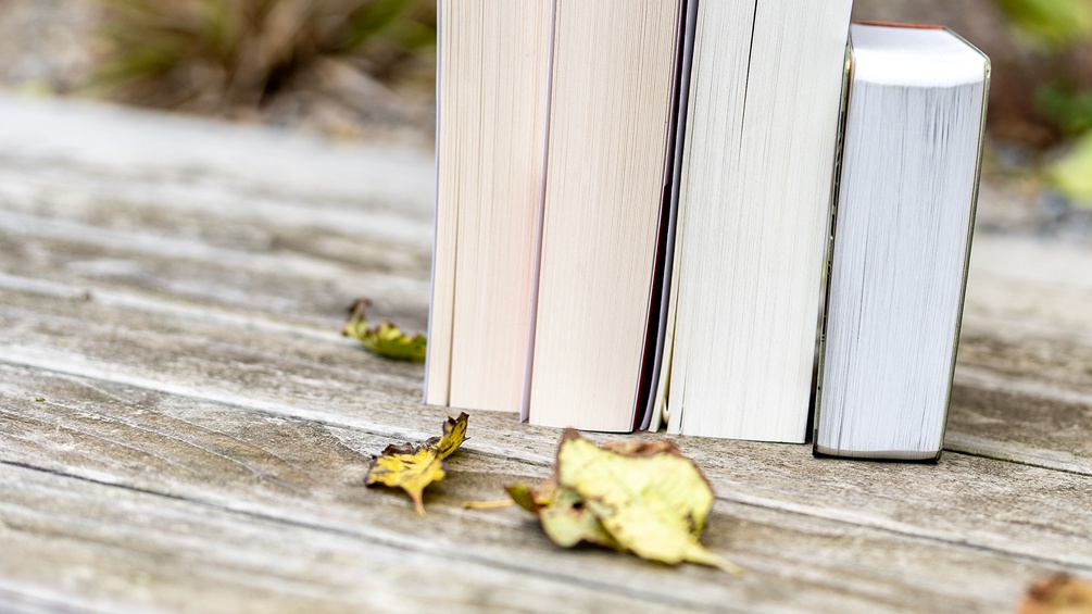 Herbst und Bücher samt Blätter