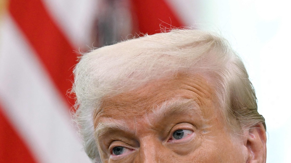 PICTUREDESK.COM/AFP/ANNABELLE GORDON Donald Trump