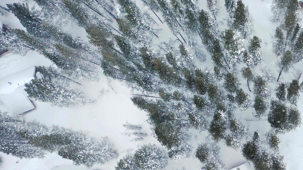 Verschneiter Wald in den USA, Vogelperspektive