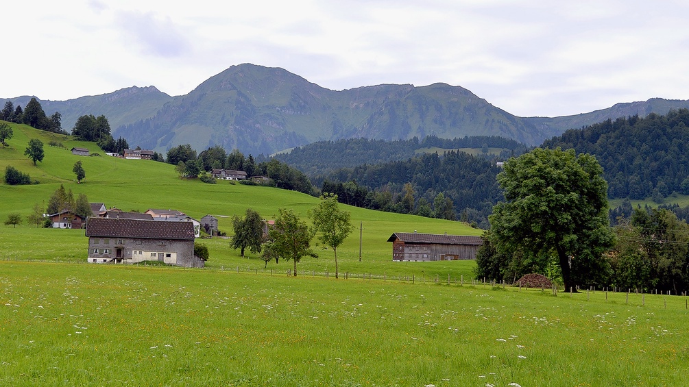 Landschaft im Bregenzerwald