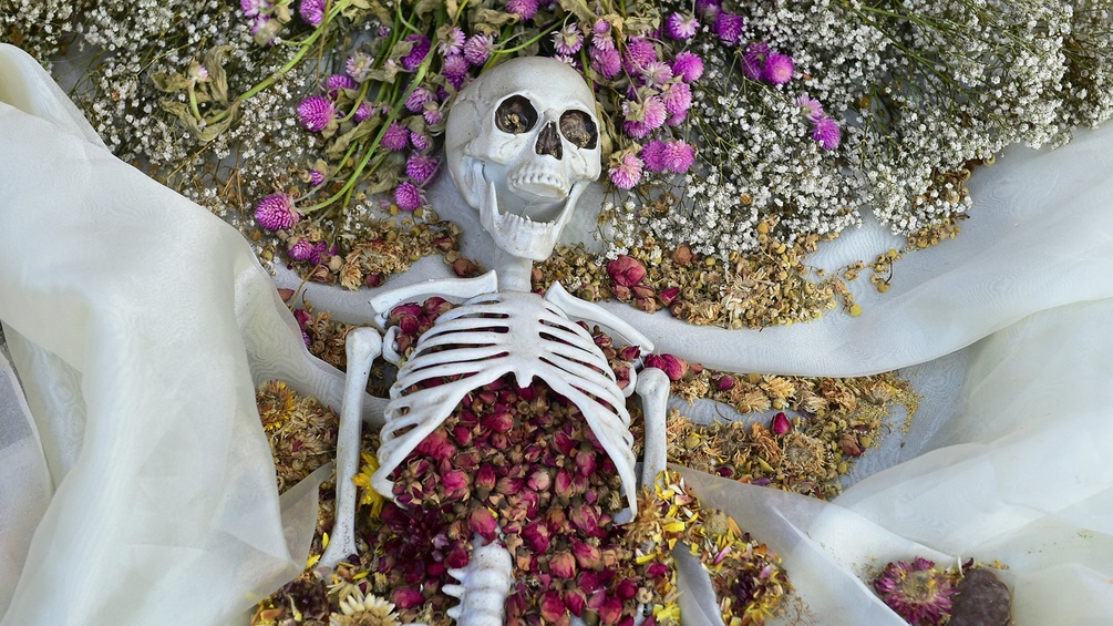 Ein Skelett in einem Blumenmeer.