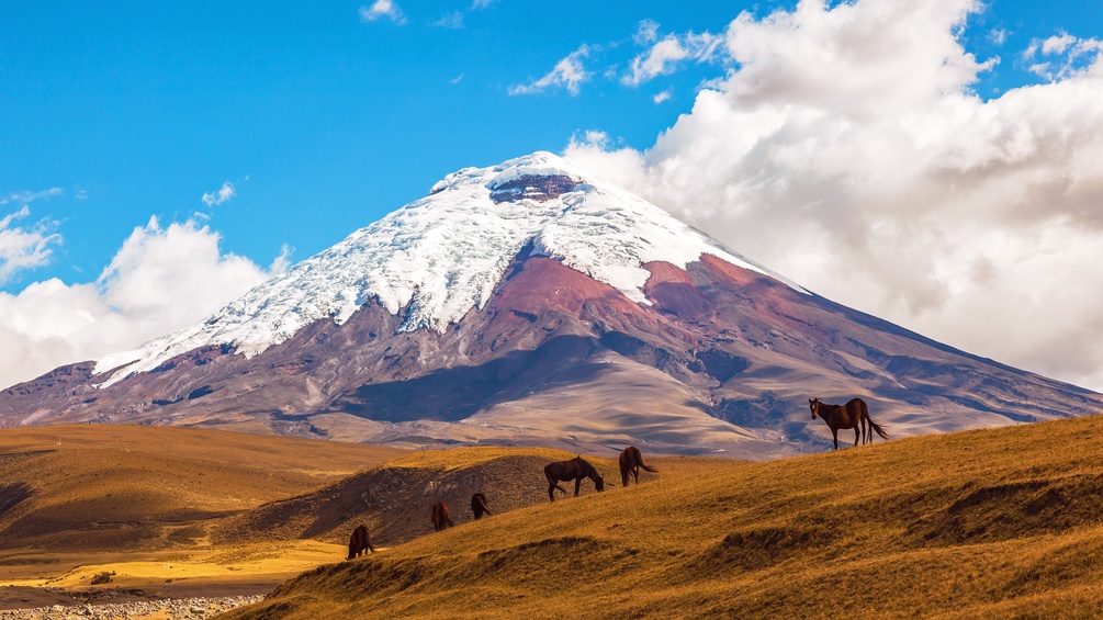 Ecuador