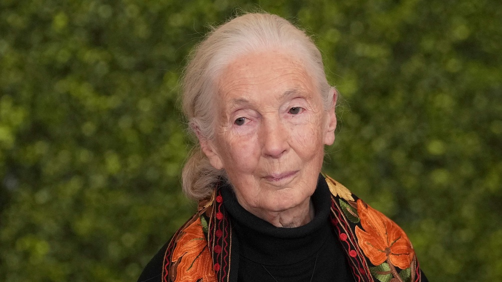Jane Goodall