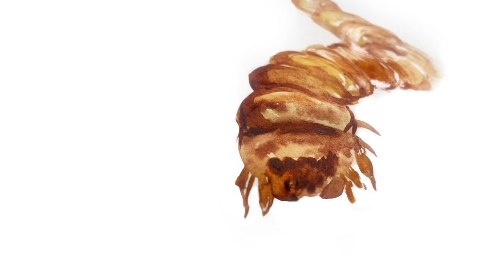 ORF/ISABELLE ORSINI-ROSENBERG Illustration eines Mehlwurms