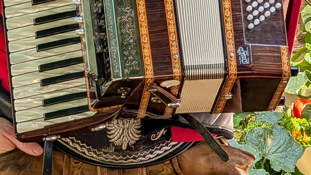 Ziehharmonika