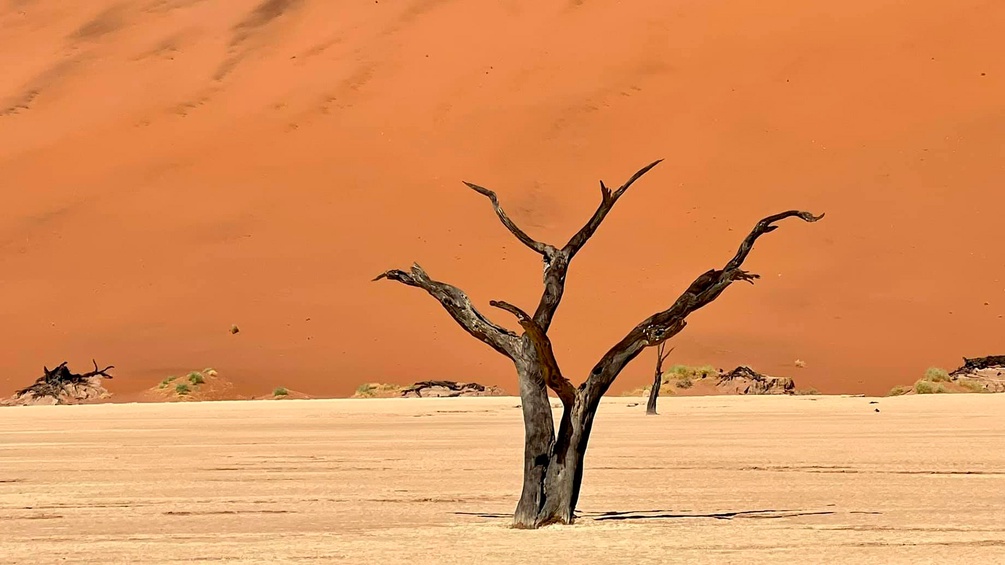 Deadvlei