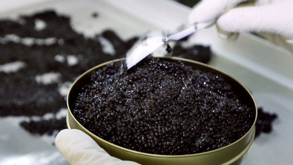 schwarzer Kaviar