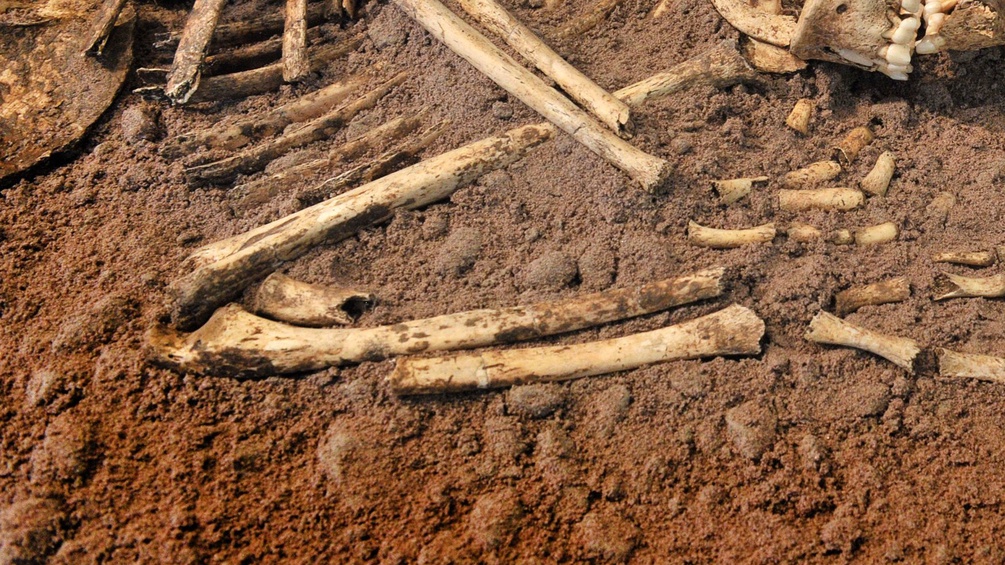 7500 Jahre altes Skelett 