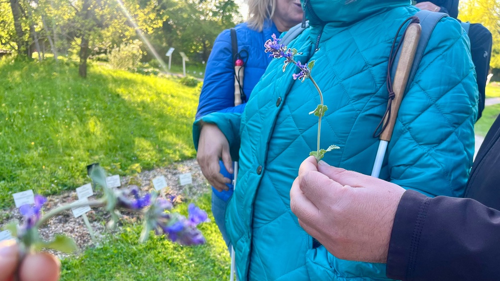 Mann hält Blume, dahinter Frau mit Blindenstock im botanischen Garten