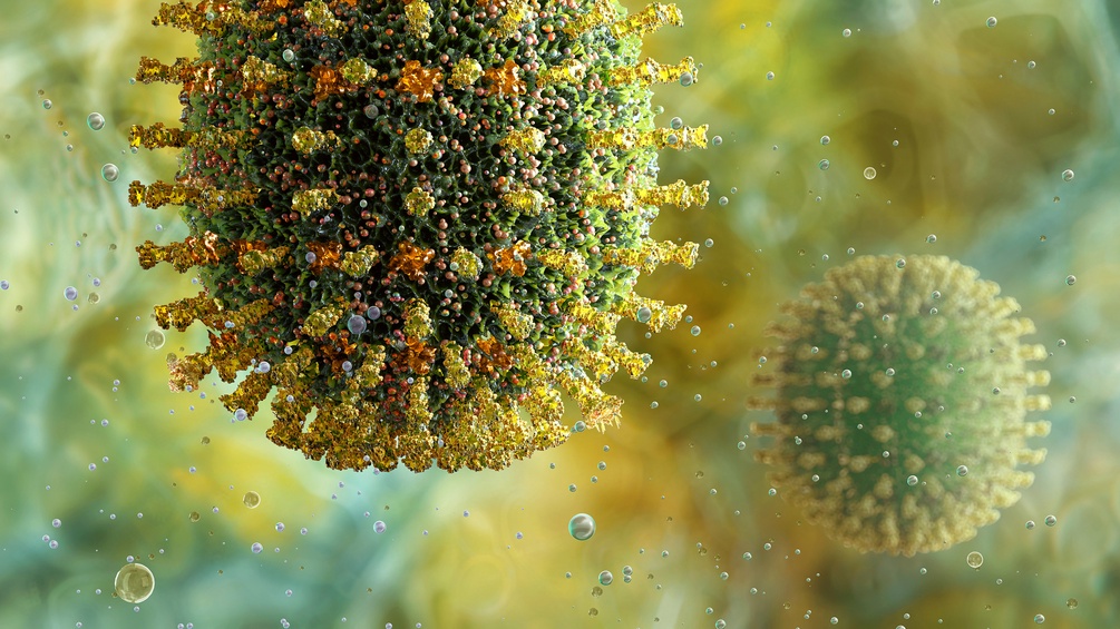 Influenza-Virus, Illustration