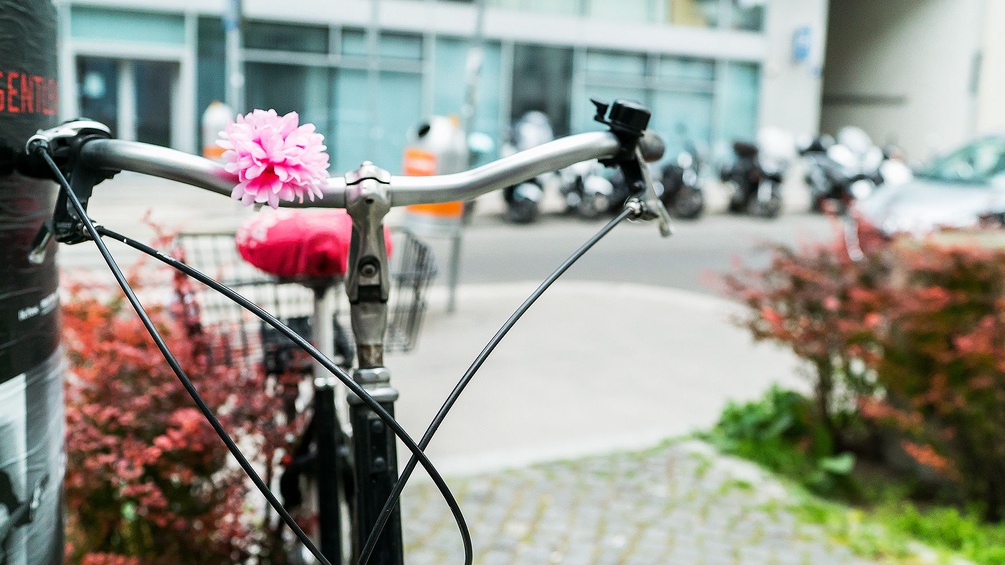 Fahrrad mit rosafarbener Blume