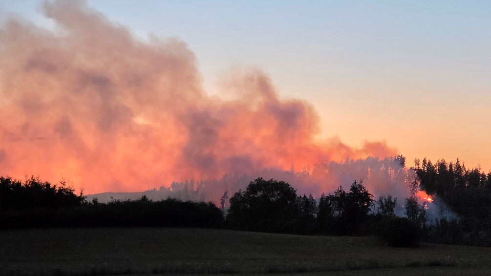 Waldbrand in Sachsen, Deutschland: Sichtbares Feuer in einem Waldabschnitt, aufsteigender Rauch