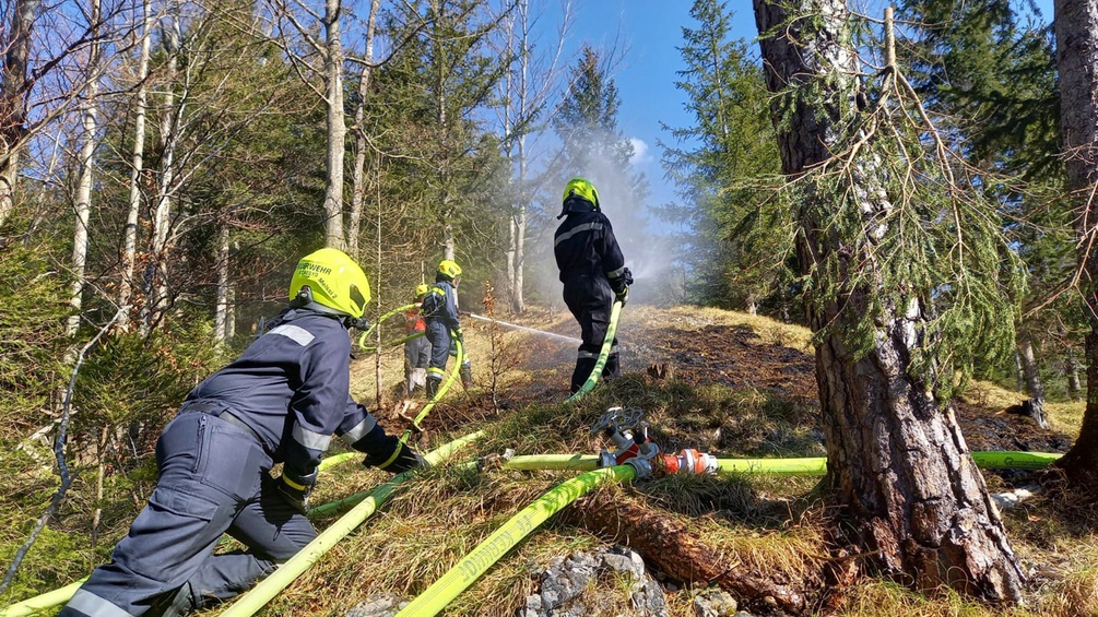 Feuerwehr-Einsatzkräfte bei einem Waldbrand