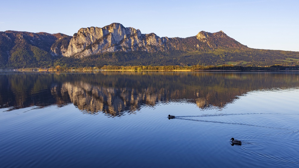 Wasserspiegelungen im Mondsee mit Enten