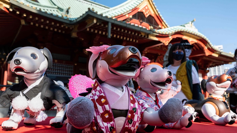 Kanda Myojin Schrein: Hunderoboter