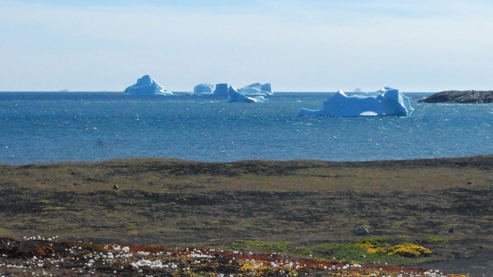 Eisberge treiben vor Diskoinsel in Westgrönland