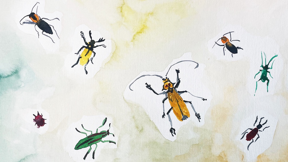 Illustration von Käfern