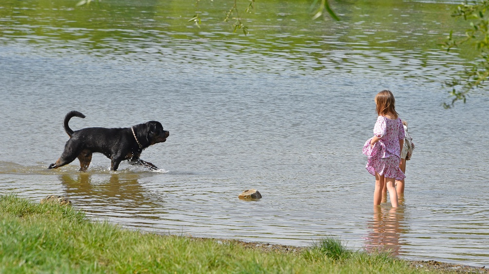 Der Hundepark beim Angelibad