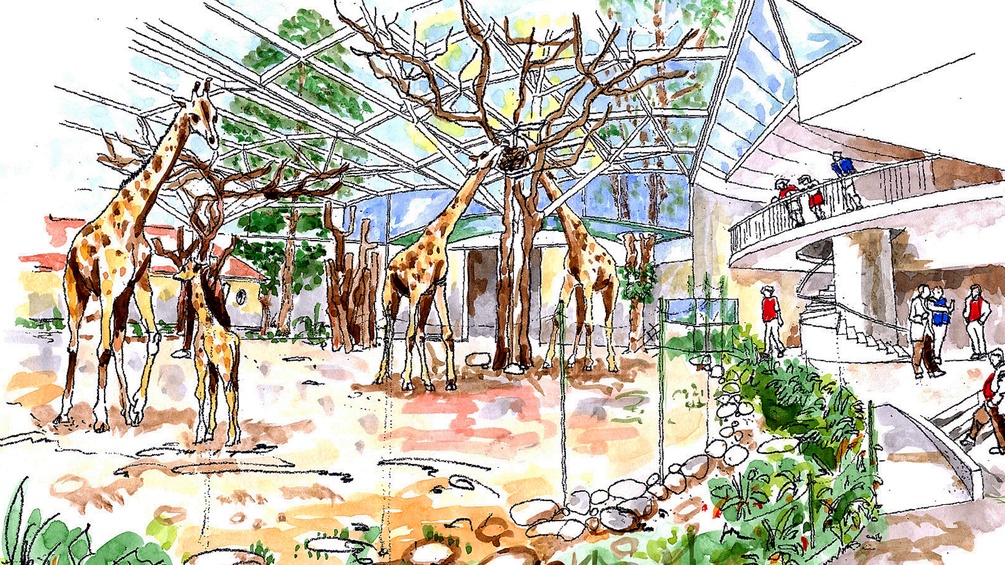 Ein Entwurf des Architekten Peter Hartmann für das neue Giraffen Gehege in Schönbrunn, Wien