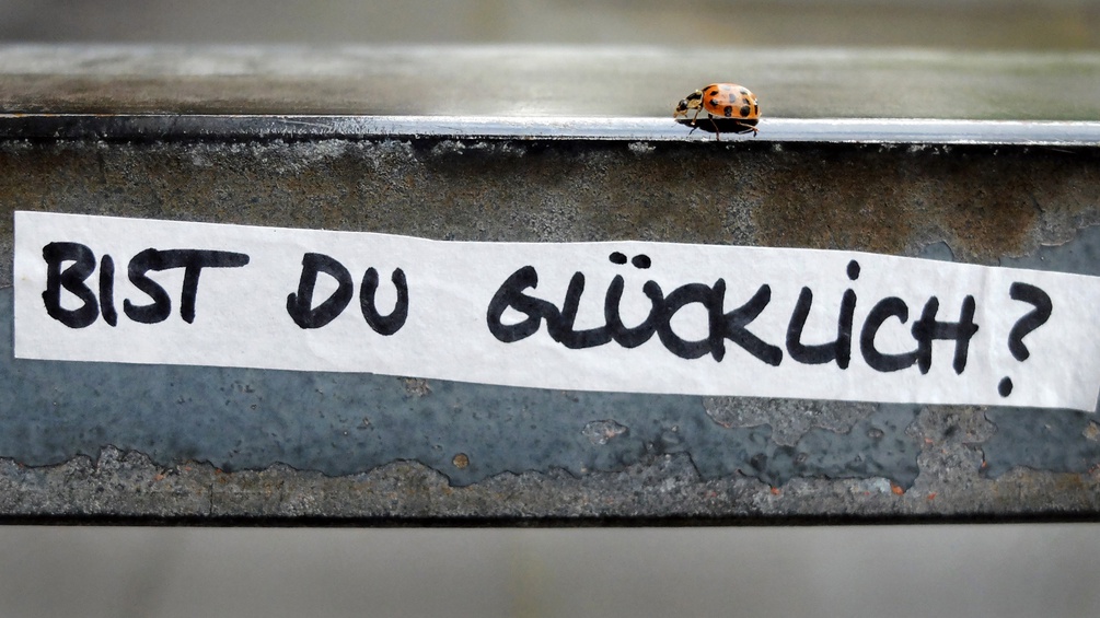 Auf einem Metallbalken steht geschrieben "Bist du glücklich?", darüber krabbelt ein Marienkäfer.