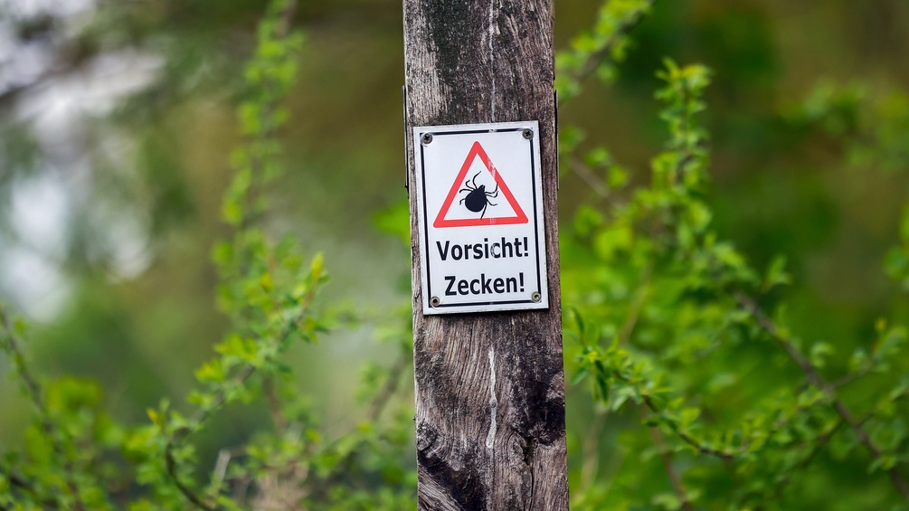 Zecken-Warnschild
