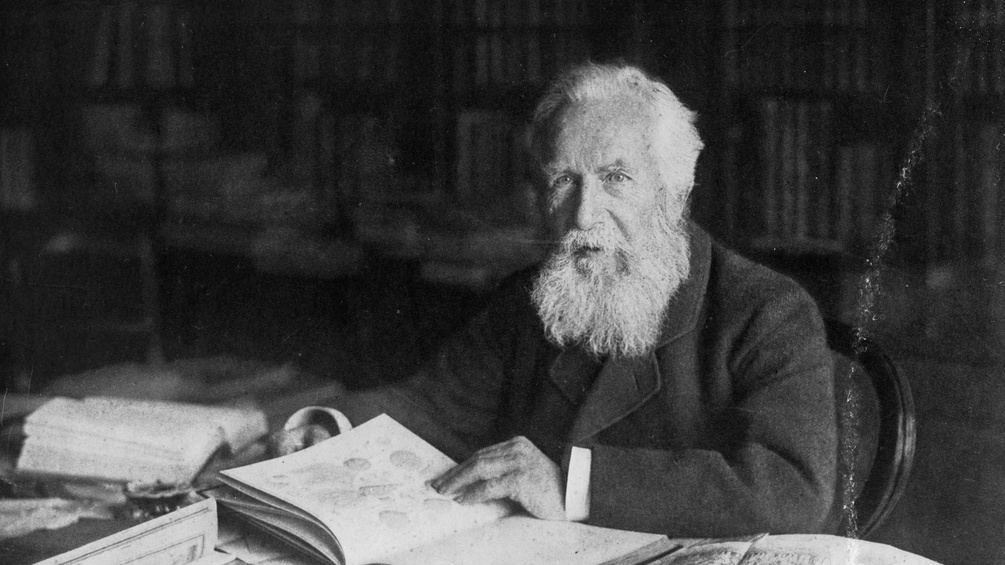 Ernst Haeckel