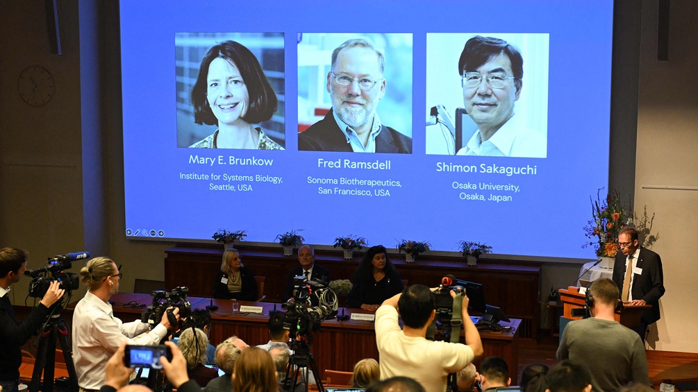 Nobelpreis der Medizin 2025: Mary E. Brunkow, Fred Ramsdell, Shimon Sakaguchi