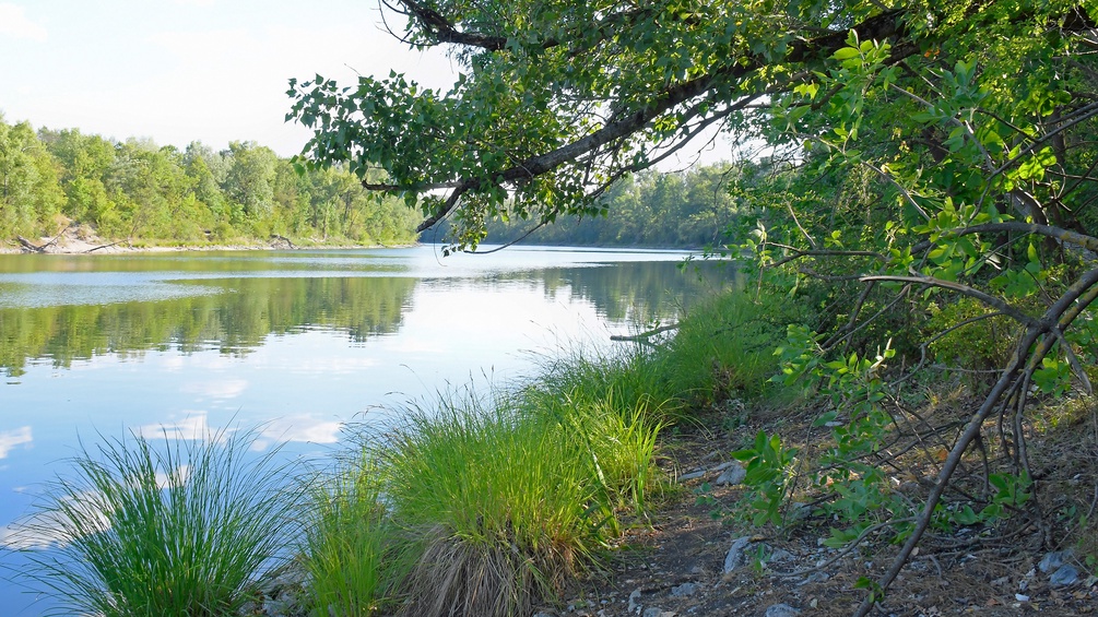 Der Donau-Oder-Kanal in der Wiener Lobau, Nationalpark Donau-Auen