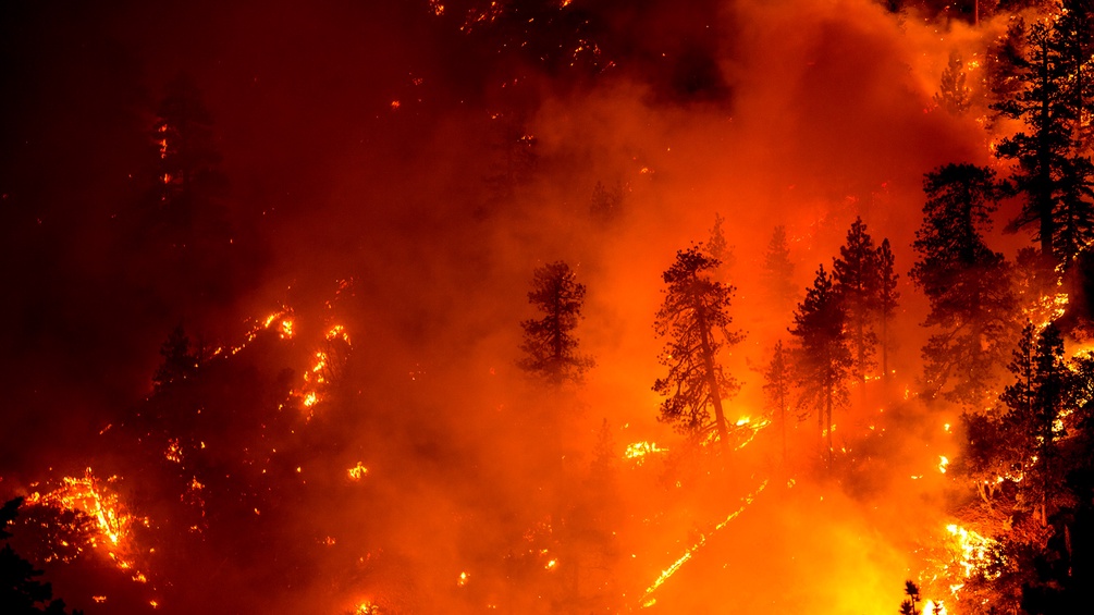 Feuer in Kalifornien