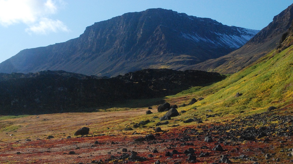 Herbststimmung - Tundra auf der Diskoinsel in Westgrönland