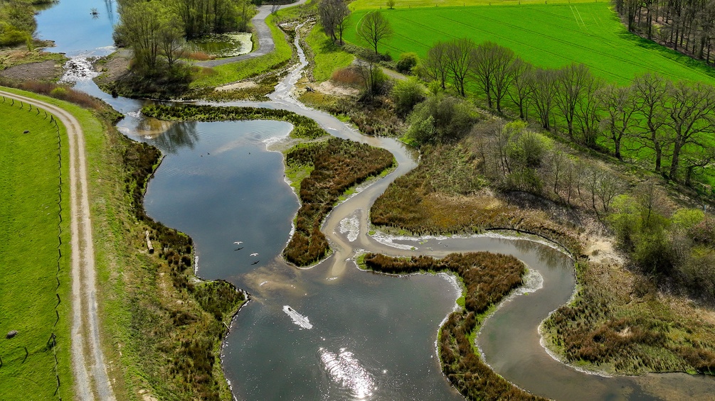 Renaturierter Bachlauf in Deutschland: grüne Wiese, Bäume und Wasser